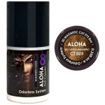 Μεταλλικά Ημιμόνιμα βερνίκια 3D Magnetic Cat Eye 8ml – Aloha Nails & Cosmetics / CT 003 – Χάλκινο