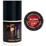 Μεταλλικά Ημιμόνιμα βερνίκια 3D Magnetic Cat Eye 8ml – Aloha Nails & Cosmetics / CT 007 – Κόκκινο Ρουμπινί