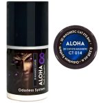 Μεταλλικά Ημιμόνιμα βερνίκια 3D Magnetic Cat Eye 8ml – Aloha Nails & Cosmetics / CT 014 – Μπλε