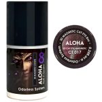Μεταλλικά Ημιμόνιμα βερνίκια 3D Magnetic Cat Eye 8ml – Aloha Nails & Cosmetics / CT 017 – Καφέ μελιτζανί