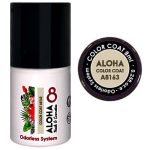 Ημιμόνιμο βερνίκι ALOHA 8ml – Color Coat A8163 / Χρώμα: Soft Elephant Gray (Απαλό γκρι ελεφαντί)